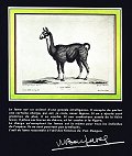cliquer pour voir l'image agrandie