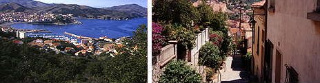 Banyuls sur Mer de nos jours