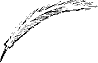 plume d'crivain